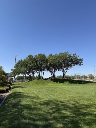 Oxford Park - Las Vegas, NV