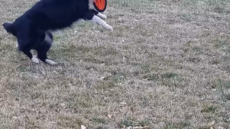 Oxford Park - Las Vegas, NV