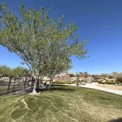 Paseos Park - Las Vegas, NV