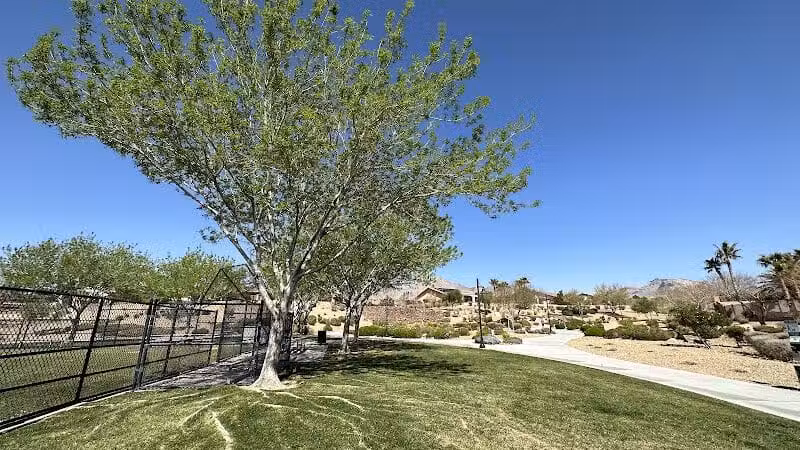 Paseos Park - Las Vegas, NV