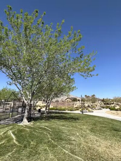 Paseos Park - Las Vegas, NV