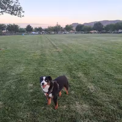 Paseos Park - Las Vegas, NV