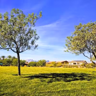 Paseos Park - Las Vegas, NV