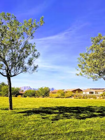 Paseos Park - Las Vegas, NV