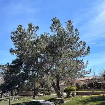 Peccole Ranch Trail - Las Vegas, NV