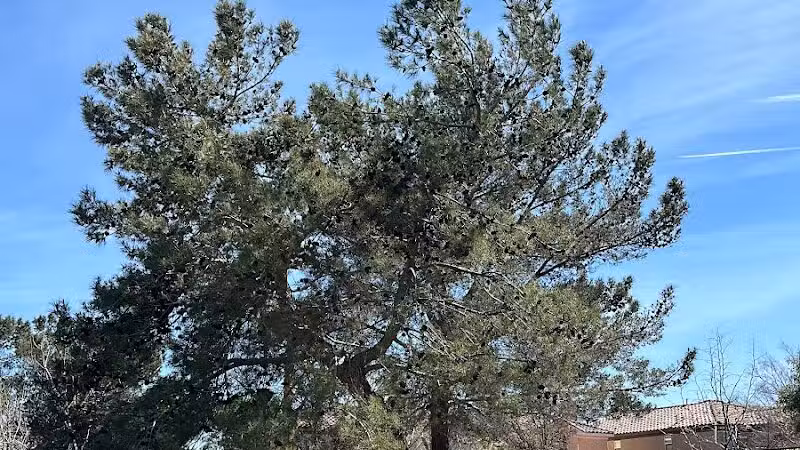 Peccole Ranch Trail - Las Vegas, NV