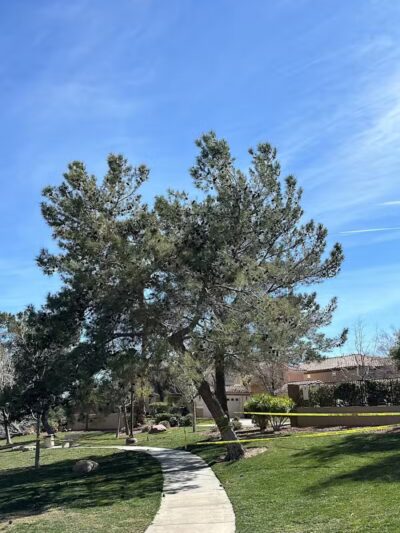 Peccole Ranch Trail - Las Vegas, NV