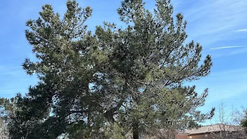 Peccole Ranch Trail - Las Vegas, NV