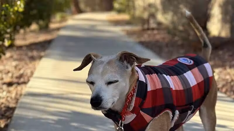 Peccole Ranch Trail - Las Vegas, NV