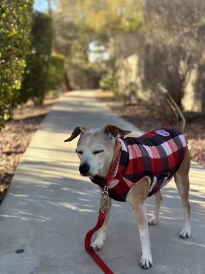 Peccole Ranch Trail - Las Vegas, NV