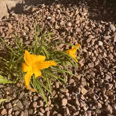 Peccole Ranch Trail - Las Vegas, NV