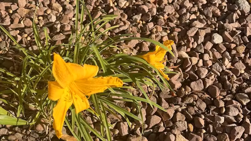 Peccole Ranch Trail - Las Vegas, NV