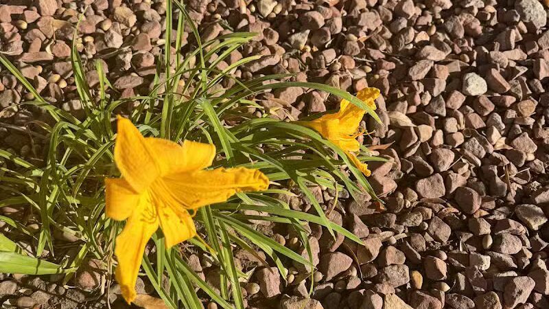 Peccole Ranch Trail - Las Vegas, NV