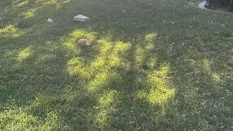 Pop Squires Park - Las Vegas, NV