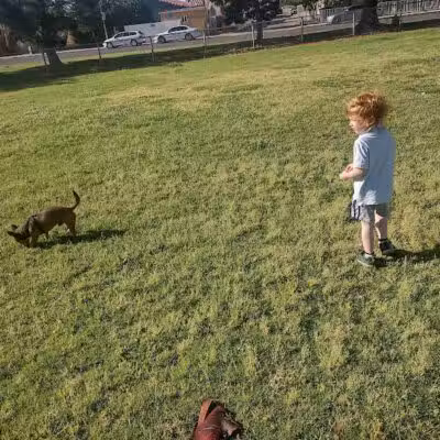 Potosi Park - Las Vegas, NV