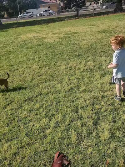 Potosi Park - Las Vegas, NV