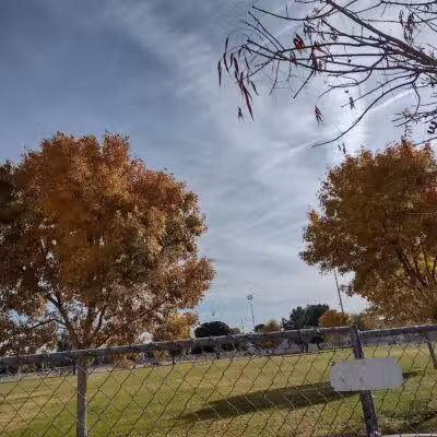 Russ's Tree - Las Vegas, NV