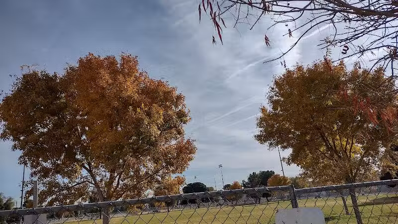 Russ's Tree - Las Vegas, NV