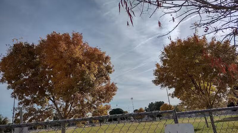 Russ's Tree - Las Vegas, NV