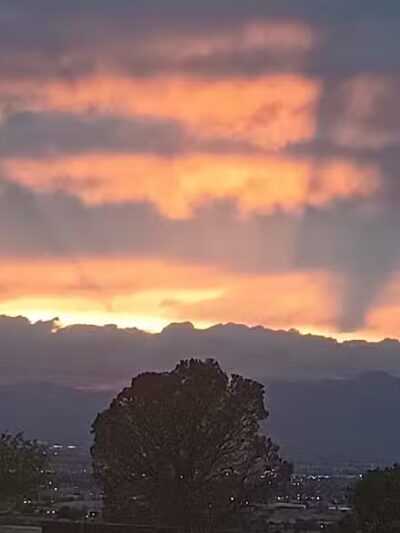 Shadow Rock Dog Park - Las Vegas, NV