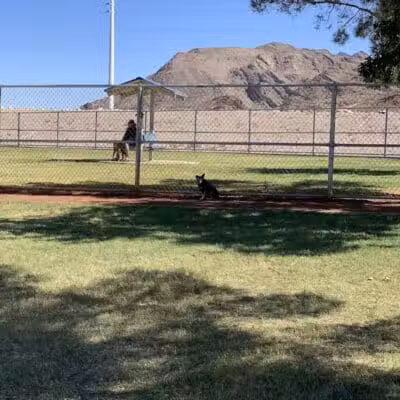 Shadow Rock Dog Park - Las Vegas, NV