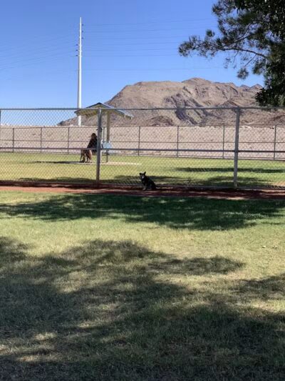 Shadow Rock Dog Park - Las Vegas, NV