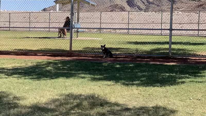 Shadow Rock Dog Park - Las Vegas, NV