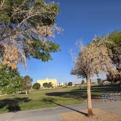 Silverado Ranch Park - Las Vegas, NV