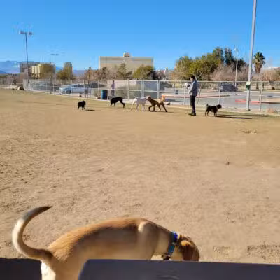 Silverado Ranch Park - Las Vegas, NV