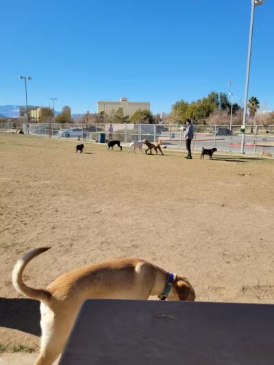 Silverado Ranch Park - Las Vegas, NV