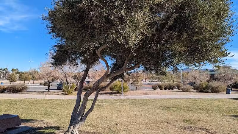 Silverado Ranch Park - Las Vegas, NV