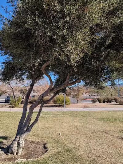 Silverado Ranch Park - Las Vegas, NV