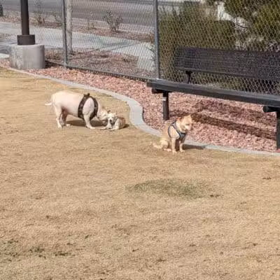 Skye View Park - Las Vegas, NV