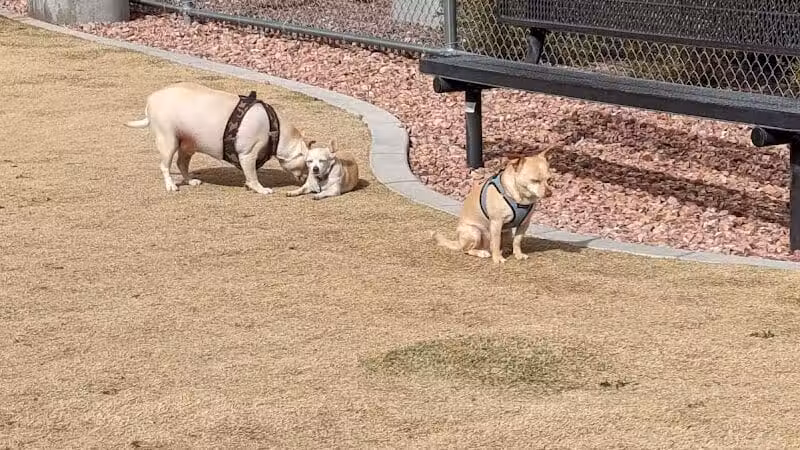 Skye View Park - Las Vegas, NV