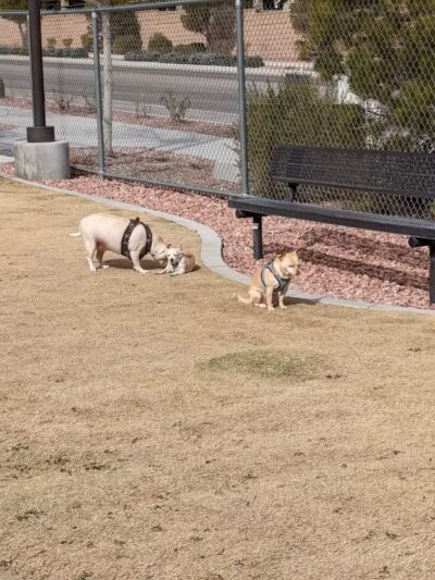 Skye View Park - Las Vegas, NV