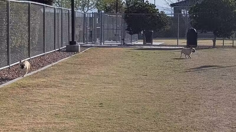 Skye View Park - Las Vegas, NV