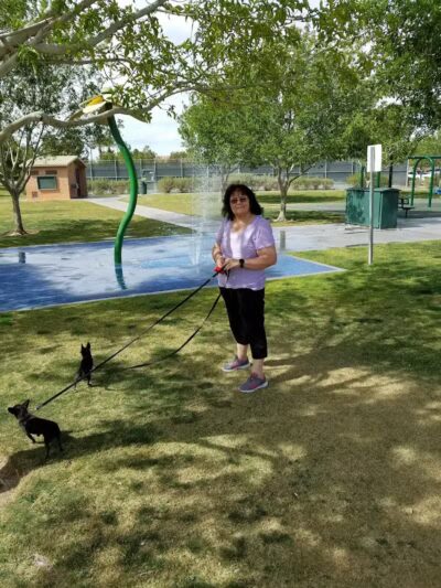 Somerset Hills Park - Las Vegas, NV