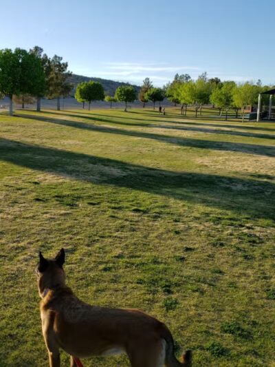 Somerset Hills Park - Las Vegas, NV