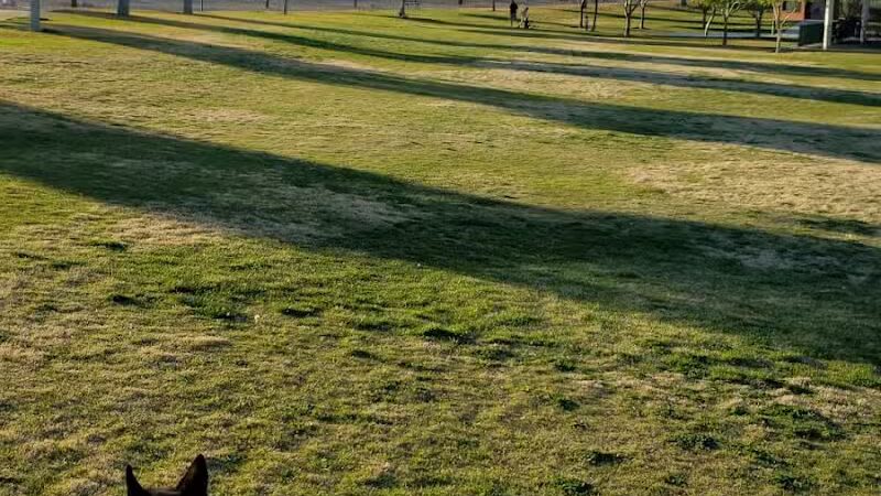 Somerset Hills Park - Las Vegas, NV