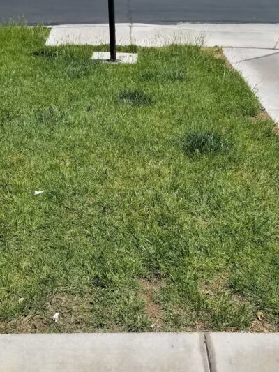 Somerset Hills Park - Las Vegas, NV