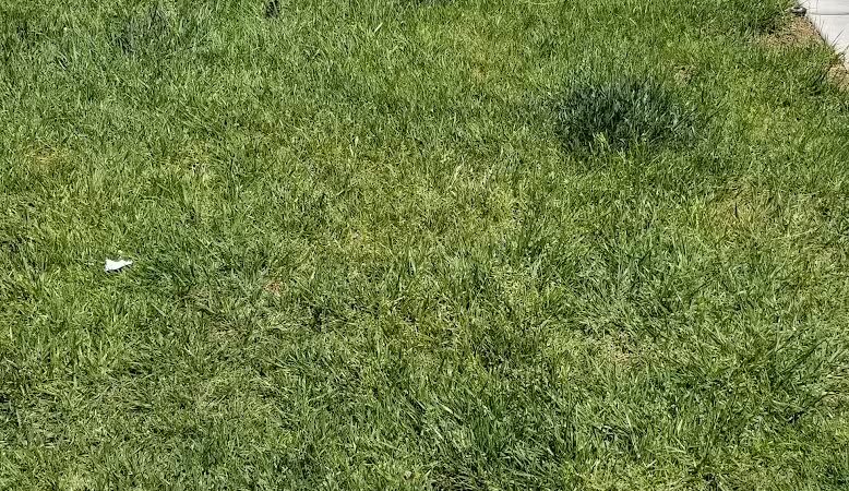 Somerset Hills Park - Las Vegas, NV