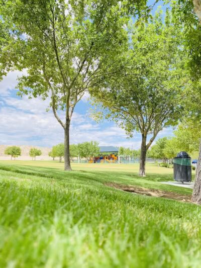 Somerset Hills Park - Las Vegas, NV