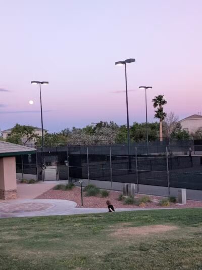 Spotted Leaf Park - Las Vegas, NV