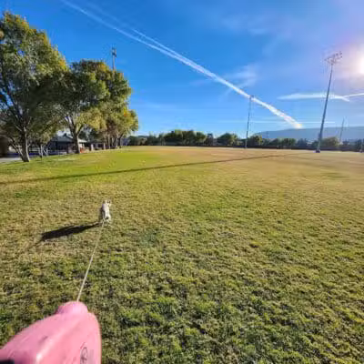 Spotted Leaf Park - Las Vegas, NV