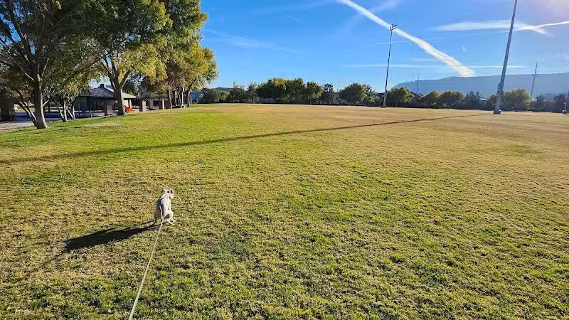 Spotted Leaf Park - Las Vegas, NV
