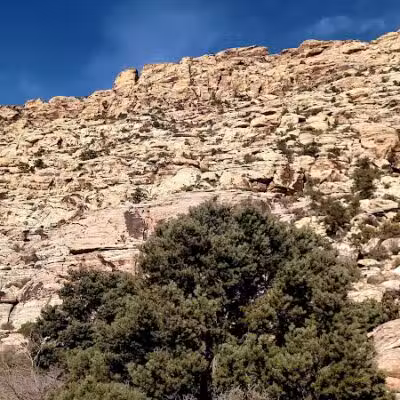 Spotted Leaf Park - Las Vegas, NV