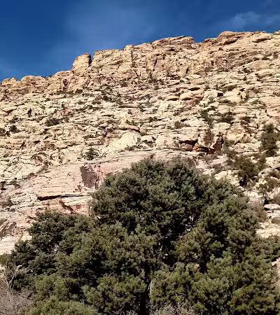 Spotted Leaf Park - Las Vegas, NV