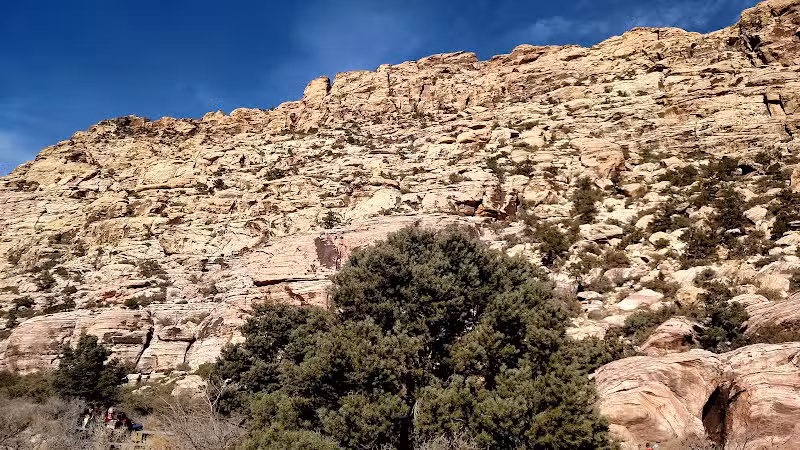 Spotted Leaf Park - Las Vegas, NV