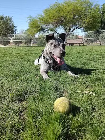 Spring Valley Community Park - Las Vegas, NV
