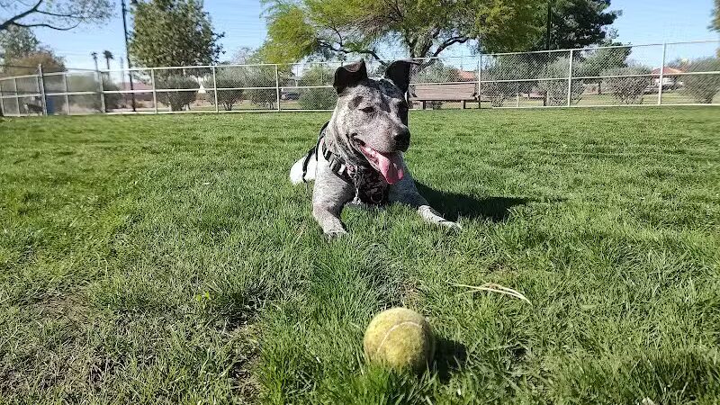 Spring Valley Community Park - Las Vegas, NV